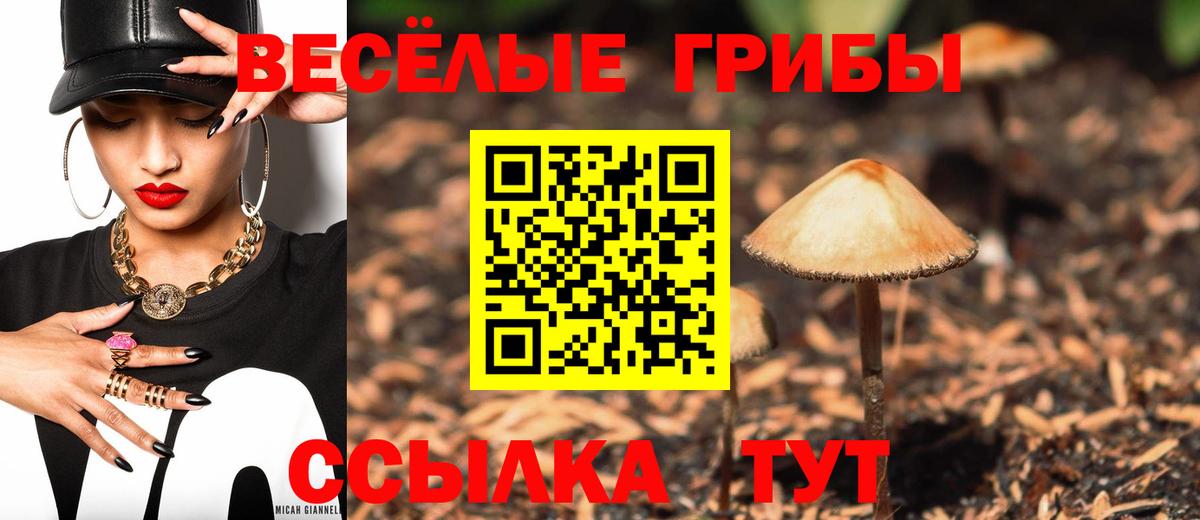 Малгобек  Псилоцибиновые грибы Psilocybine cubensis  Вход с VPN 